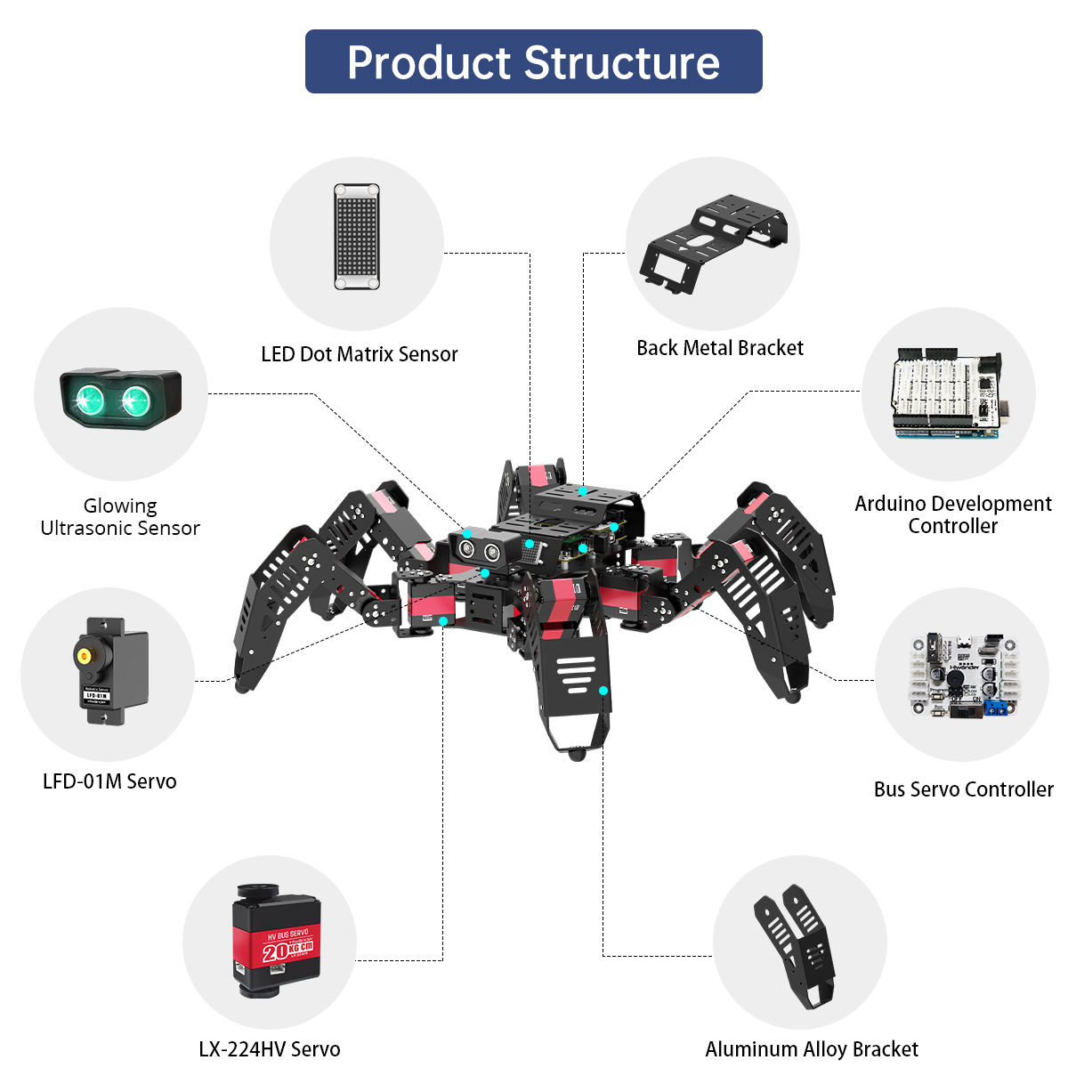 Hiwonder Spiderbot Robô Biônic - Robot Kit avaliação e preço