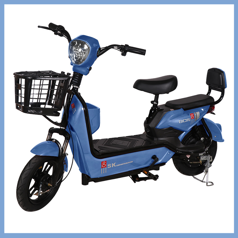 YTYIN Atacado Bicicleta Elétri - Geared Motor avaliação e preço